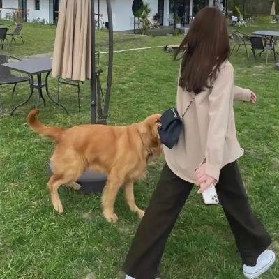 我的邻居不是人
